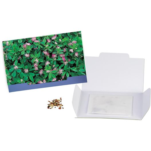 eine box mit einer kleinen blume darin Flower-Card mit Samen - Persischer Klee (Bild 1)