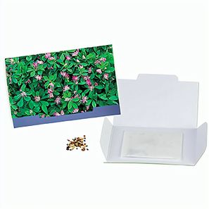 Flower-Card mit Samen - Persischer Klee