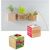 Pflanz-Holz Magnet mit Samen - Sommerblumenmischung, 2 Seiten gelasert (Bild 2)