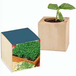 Pflanz-Holz mit Samen - Gartenkresse