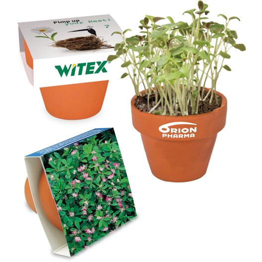 Logo-Töpfchen Banderole mit Samen - Persischer Klee (Bild 1)