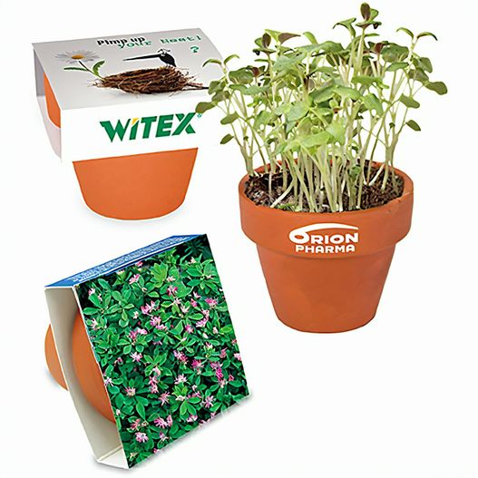 Logo-Töpfchen Banderole mit Samen - Persischer Klee (Bild 1)