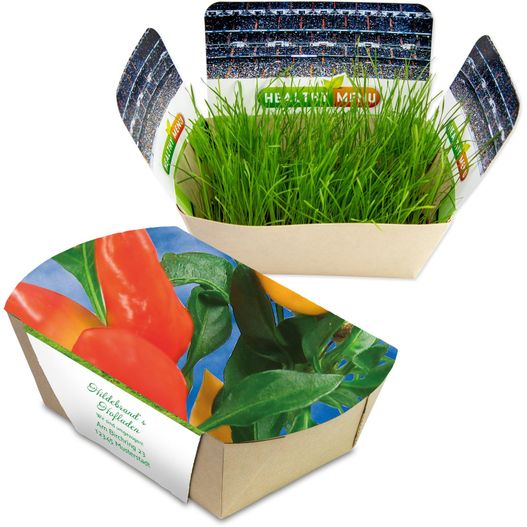 eine schachtel aus frischem gras und einem samenpaket Pflanzodrom mit Samen - Gewürzpaprika (Bild 1)