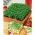 Pflanz-Holz 2er Set mit Samen - Gartenkresse, 1 Seite gelasert (Bild 4)