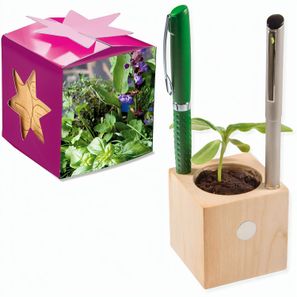Pflanz-Holz Büro Star-Box mit Samen - Kräutermischung