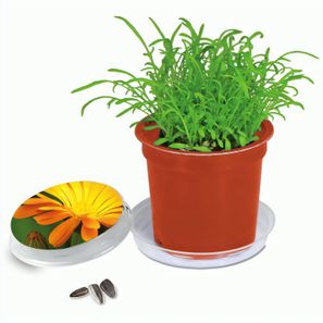 Florero-Töpfchen mit Samen - terracotta - Ringelblume