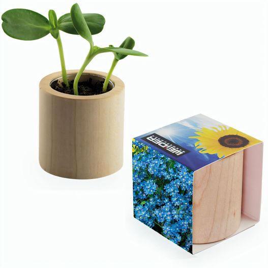 Pflanz-Holz rund mit Samen - Vergissmeinnicht, Rundum-Lasergravur (Bild 1)