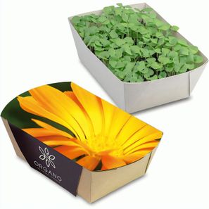Pflanz-Schale mit Samen - Ringelblume