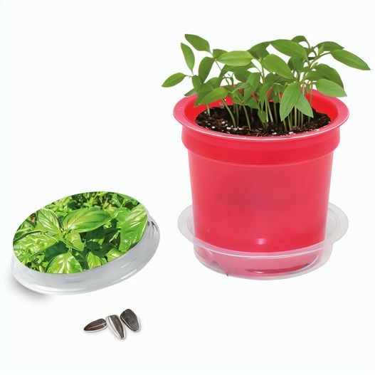 Florero-Töpfchen mit Samen - rot - Basilikum (Bild 1)