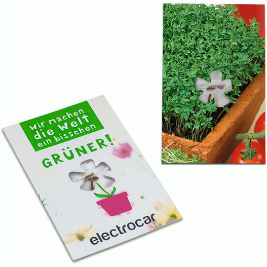 Produktabbildung Samen-Karte-Mini Blume - Gartenkresse Samen-Karte-Mini Blume - Gartenkresse (Bild 1)