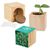 Pflanz-Holz Maxi mit Samen - Persischer Klee (Bild 1)