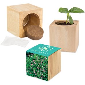 Pflanz-Holz Maxi mit Samen - Persischer Klee