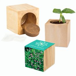 Pflanz-Holz Maxi mit Samen - Persischer Klee