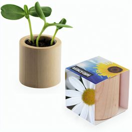 Pflanz-Holz rund mit Samen - Margerite, Rundum-Lasergravur