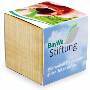 Pflanz-Holz Magnet mit Samen - Margerite