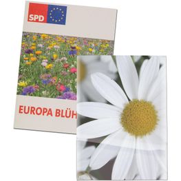 Produktabbildung Samentütchen Mini - Recyclingpapier - Margerite Samentütchen Mini - Recyclingpapier - Margerite