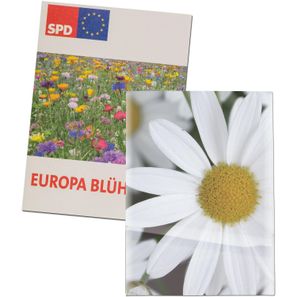 Samentütchen Mini - Recyclingpapier - Margerite