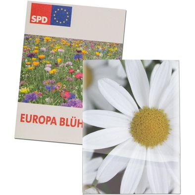 Samentütchen Mini - Recyclingpapier - Margerite