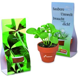 Logo-Töpfchen Überreichverpackung mit Samen - Glücksklee-Zwiebeln (* Je nach Verfügbarkeit der Glücksklee-Zwiebeln)