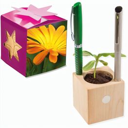 Pflanz-Holz Büro Star-Box mit Samen - Ringelblume, 2 Seiten gelasert