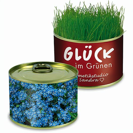 Produktabbildung Natur-Konserve mit Samen - Vergissmeinnicht Natur-Konserve mit Samen - Vergissmeinnicht (Bild 1)