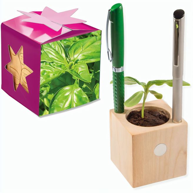 Pflanz-Holz Büro Star-Box mit Samen - Basilikum, 2 Seiten gelasert