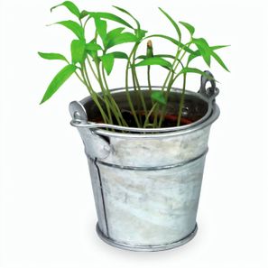 Pflanzeimerchen mit Samen - Gartenkresse