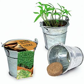 Pflanzeimerchen mit Samen - Gartenkresse