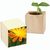 Pflanz-Holz mit Samen (Graspapier-Banderole) - Ringelblume (Bild 1)