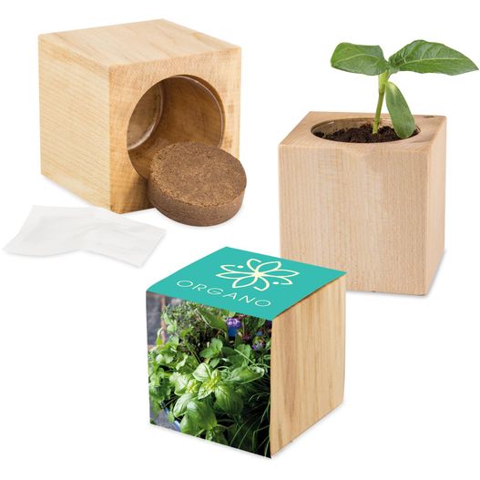 Pflanz-Holz Maxi mit Samen - Kräutermischung, 2 Seiten gelasert (Bild 1)