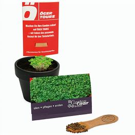 Pflanz-Stick mit Samen - Gartenkresse, 1 Seite gelasert