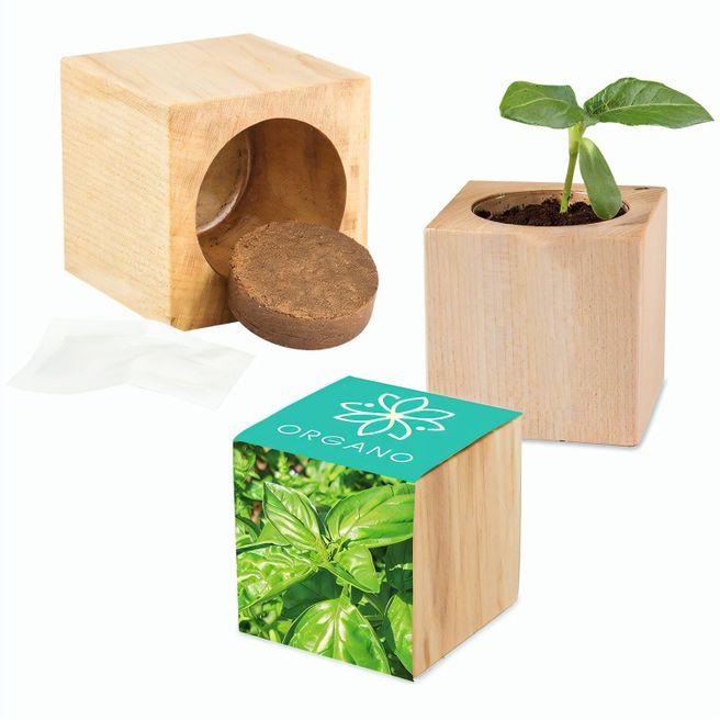 Pflanz-Holz Maxi mit Samen - Basilikum