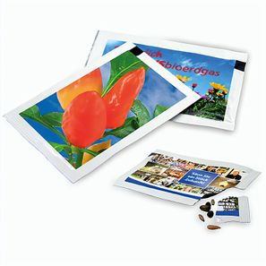Samen-Briefchen - Gewürzpaprika