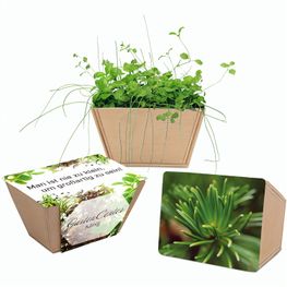 Produktabbildung Mini-Beet mit Samen - Fichte, Lasergravur Mini-Beet mit Samen - Fichte, Lasergravur