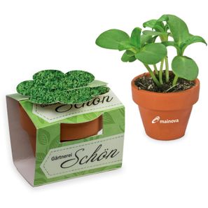 Tontöpfchen-Blume mit Samen - Gartenkresse inkl. Tampondruck