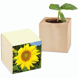 Pflanz-Holz mit Samen (Graspapier-Banderole) - Sonnenblume, 2 Seiten gelasert