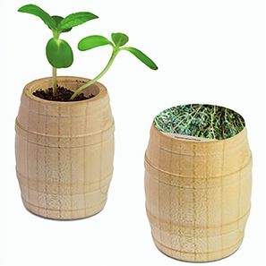Pflanz-Fässchen mit Samen - Thymian