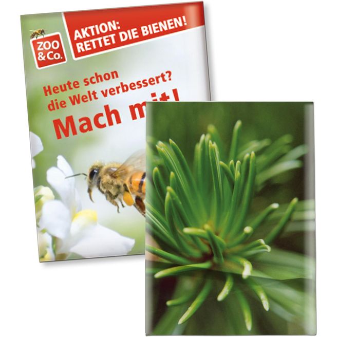Produktabbildung Samentütchen Klein - Standardpapier - Fichte Samentütchen Klein - Standardpapier - Fichte
