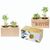 Pflanz-Holz 2er Set mit Samen - Margerite (Bild 2)