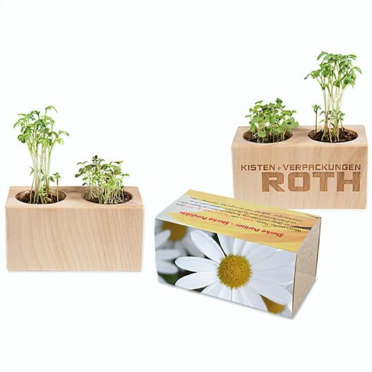 Pflanz-Holz 2er Set mit Samen - Margerite (Bild 1)
