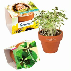 Logo-Töpfchen Komplettbanderole mit Samen - Glücksklee-Zwiebeln (* Je nach Verfügbarkeit der Glücksklee-Zwiebeln)