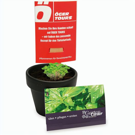 Pflanz-Stick mit Samen - Basilikum (Bild 1)