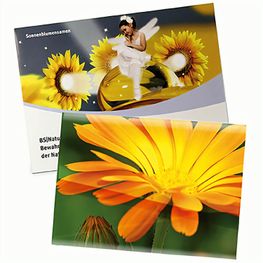 Samentütchen Groß - Standardpapier - Ringelblume