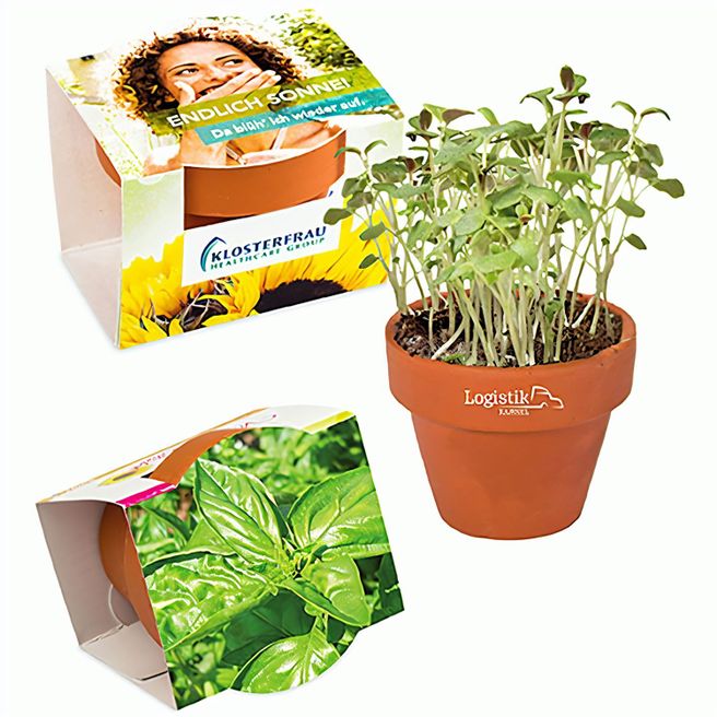 Logo-Töpfchen Komplettbanderole mit Samen - Basilikum