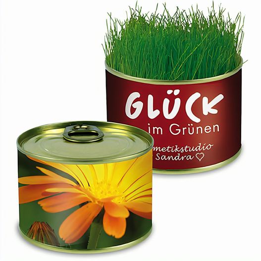 Natur-Konserve mit Samen - Ringelblume (Bild 1)