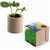 Pflanz-Holz rund mit Samen - Gartenkresse, Rundum-Lasergravur