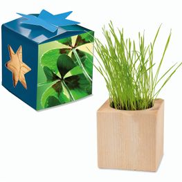Pflanz-Holz Maxi Star-Box mit Samen - Glücksklee-Zwiebel, 1 Seite gelasert (* Je nach Verfügbarkeit der Glücksklee-Zwiebeln)