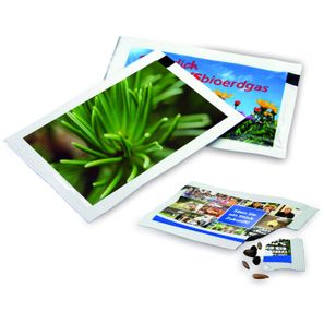 Samen-Briefchen - Fichte