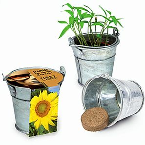 Pflanzeimerchen mit Samen - Sonnenblume