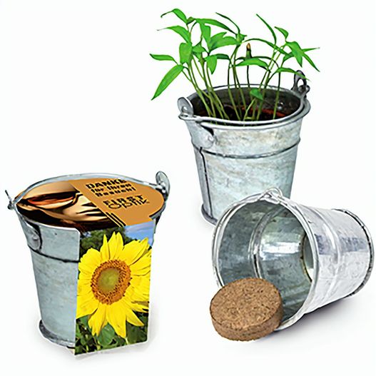 Produktabbildung Pflanzeimerchen mit Samen - Sonnenblume Pflanzeimerchen mit Samen - Sonnenblume (Bild 1)